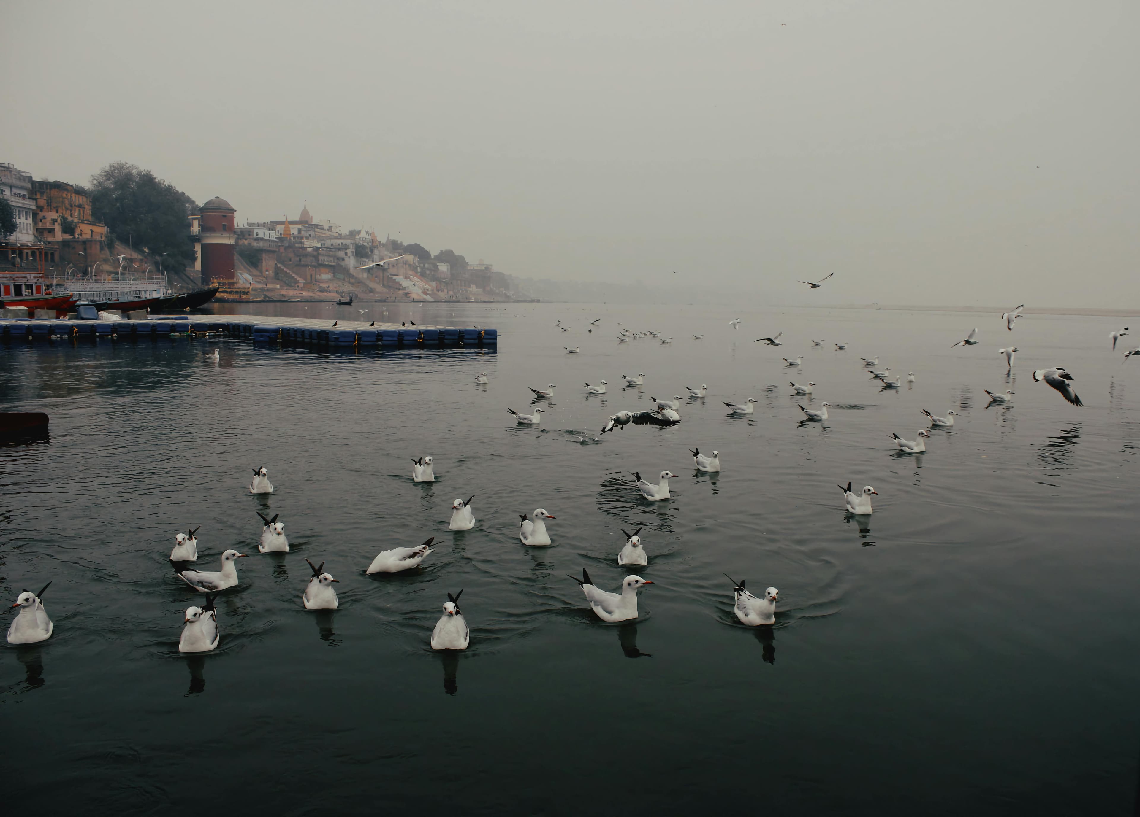 Ganga at Varanasi - Image 1